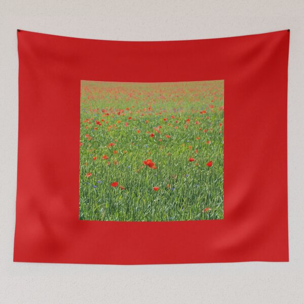 Aperçu de l'œuvre Coquelicots rouges sauvages créée et vendue par jojobob.