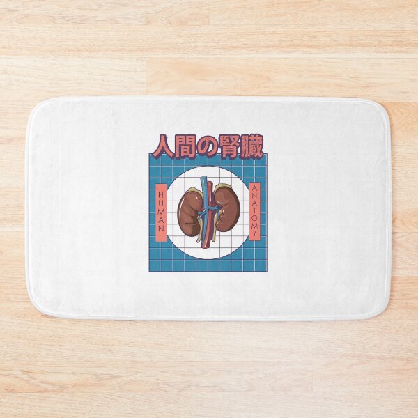 Item preview, Human Kidney Anatomy designed and sold by Atifslm.