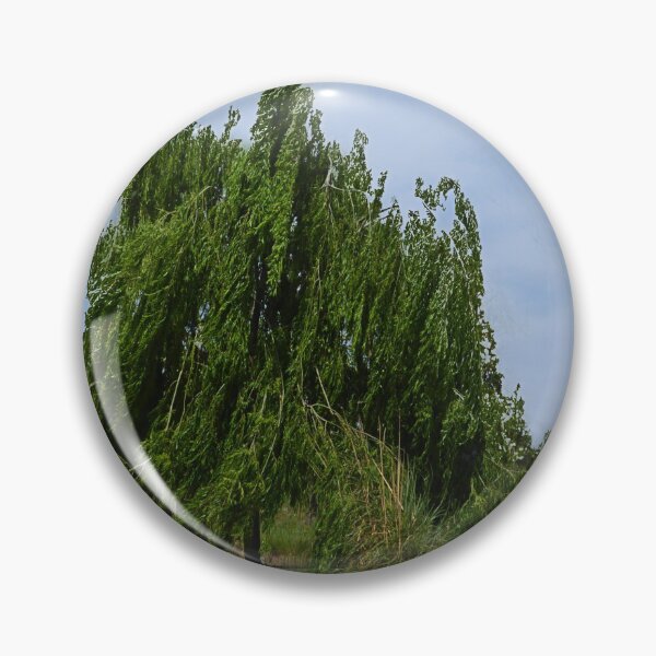 Item preview, Windy weeping willow. designed and sold by Paul Pasco.