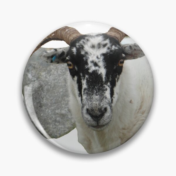 Item preview, Ram, blackhead, horns, sheep designed and sold by NessArtByEwa.