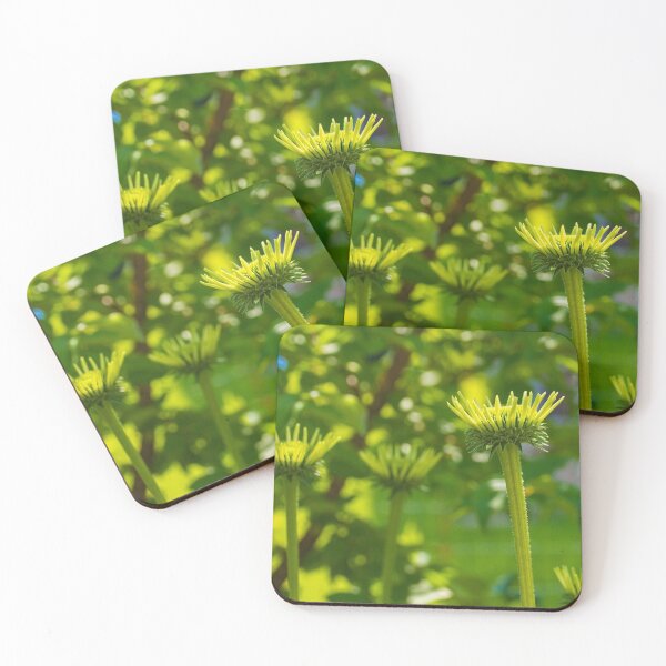Item preview, Echinacea Purpurea Buds designed and sold by jojobob.