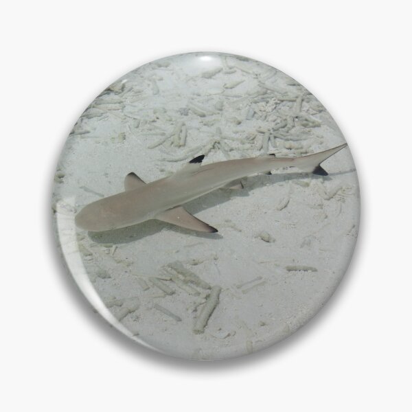 Item preview, shark near the beach designed and sold by BelleundBeau.
