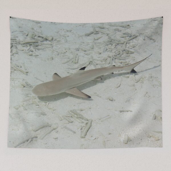 Item preview, shark near the beach designed and sold by BelleundBeau.