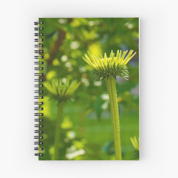 Item preview, Echinacea Purpurea Buds designed and sold by jojobob.