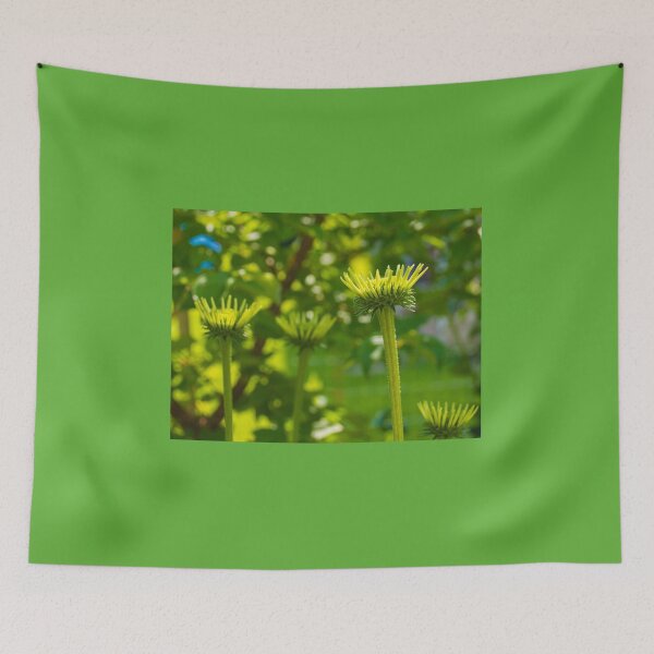 Item preview, Echinacea Purpurea Buds designed and sold by jojobob.