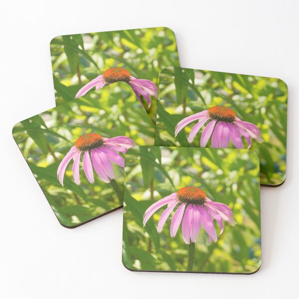 Item preview, Echinacea Purpurea Flower designed and sold by jojobob.