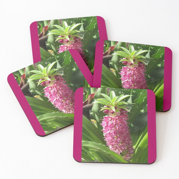 Item preview, Eucomis named Leia designed and sold by JMcCombie.