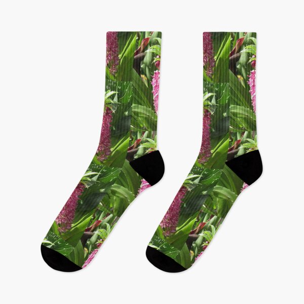 Item preview, Eucomis named Leia designed and sold by JMcCombie.