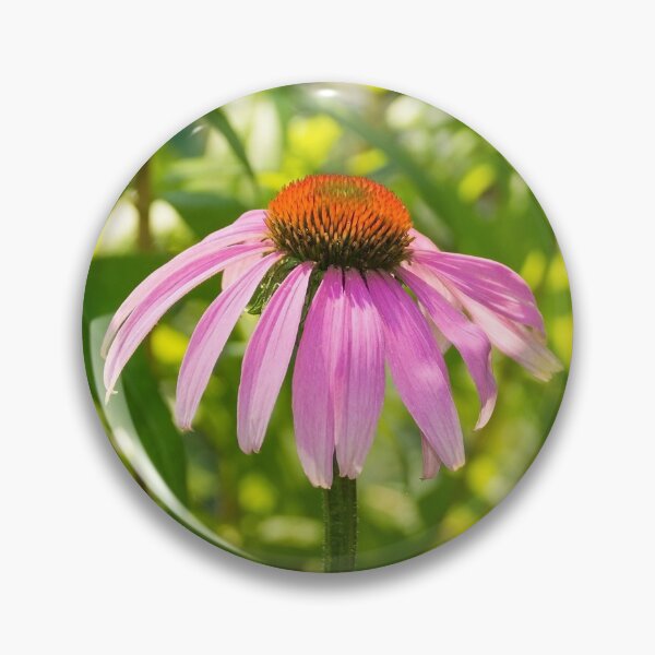 Item preview, Echinacea Purpurea Flower designed and sold by jojobob.