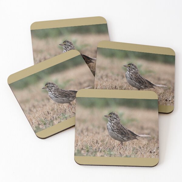 Item preview, Savannah Sparrow designed and sold by JMcCombie.