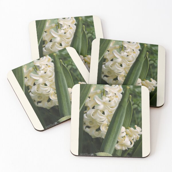 Item preview, Hyacinth named City of Haarlem designed and sold by JMcCombie.
