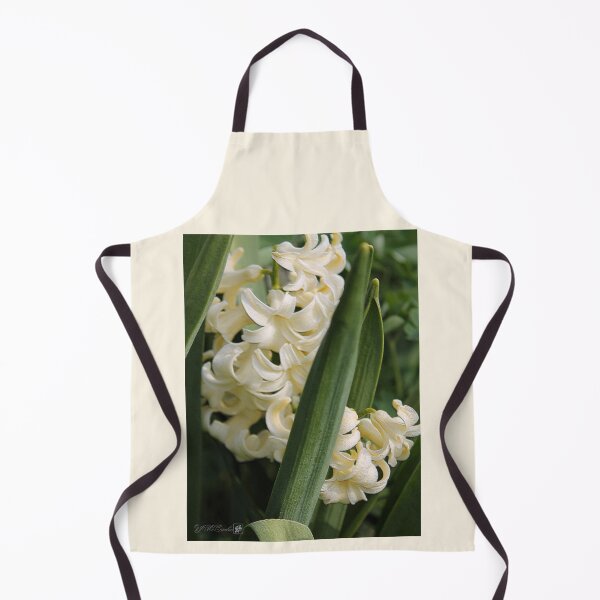 Item preview, Hyacinth named City of Haarlem designed and sold by JMcCombie.