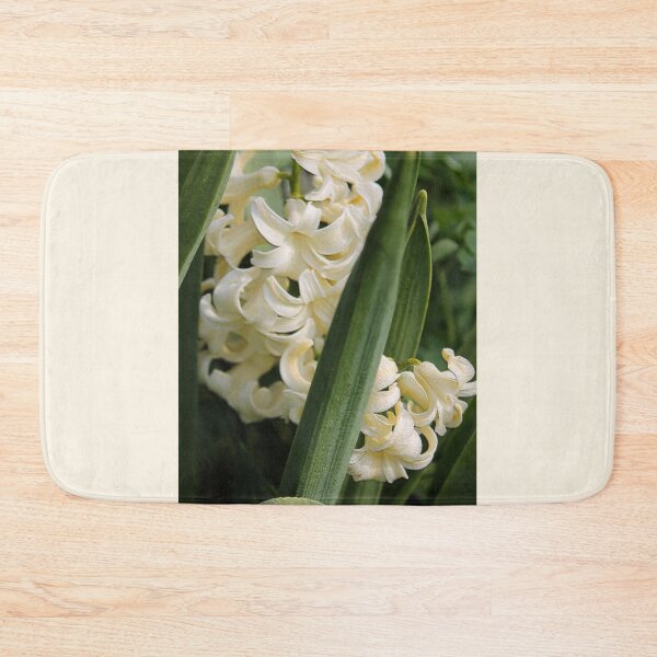 Item preview, Hyacinth named City of Haarlem designed and sold by JMcCombie.
