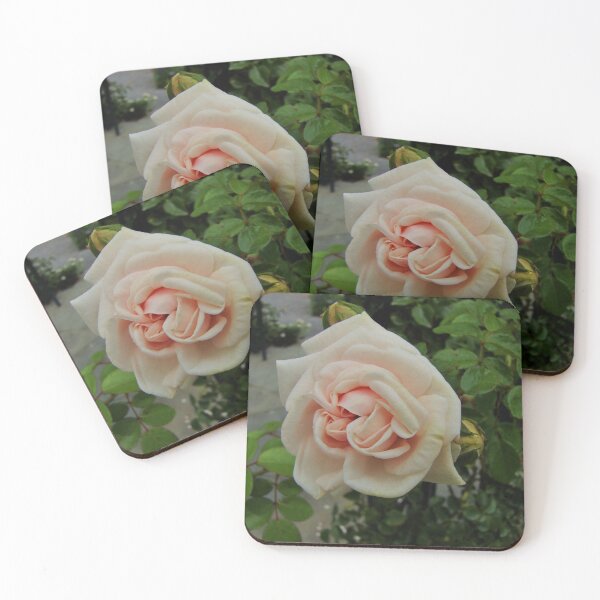 Item preview, Soft & Sweet designed and sold by AGODIPhoto.