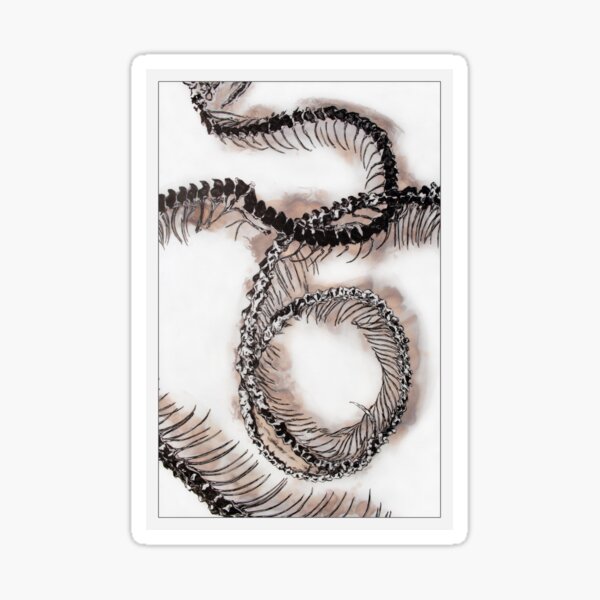 Boavus Fossil Snake Drawing Sticker