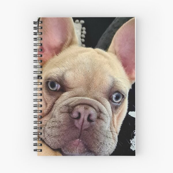 Item preview, French Bulldog Selfie Face photo designed and sold by CashReview.