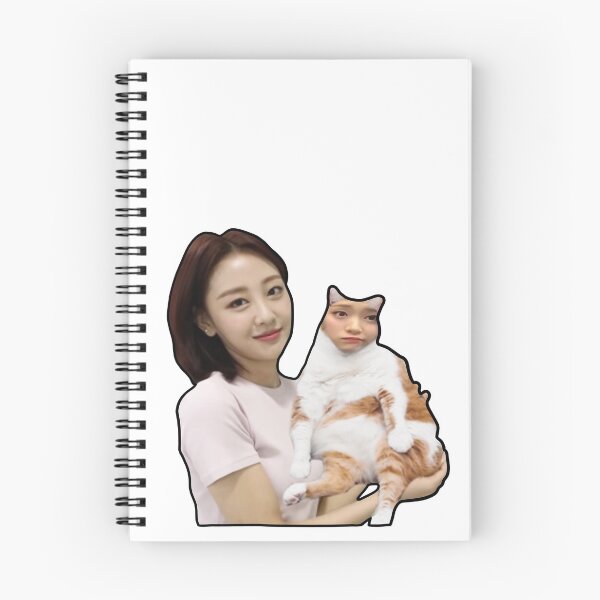 Item preview, loona yves holding cat hyunjin designed and sold by lippiesthighs.