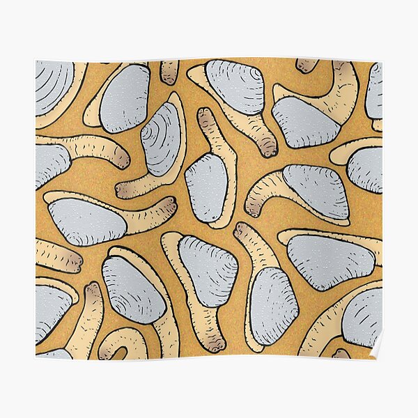 Geoduck Clams Poster