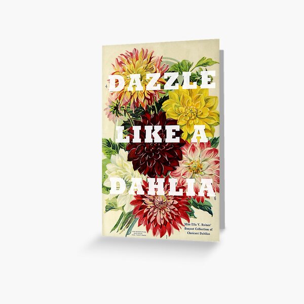 Dazzle Like A Dahlia with Vintage Botanical Print Greeting Card