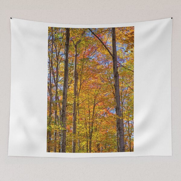 Item preview, Radiant Autumn designed and sold by Brian Shaw.