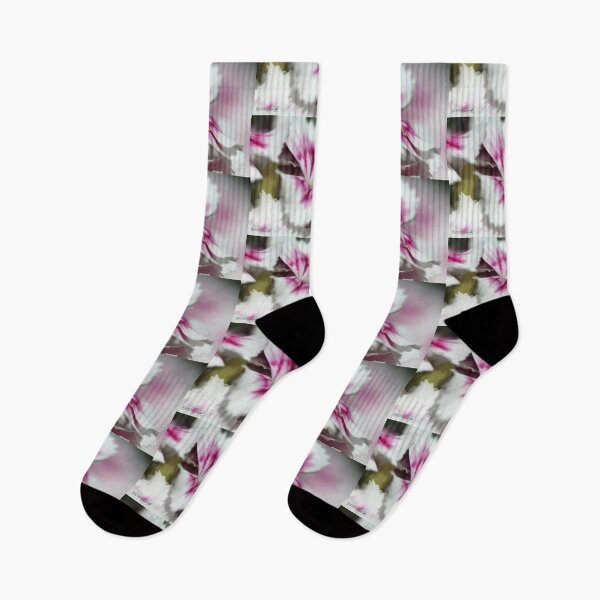 Item preview, Sweet William from the Super Duplex Bluepoint Mix designed and sold by JMcCombie.