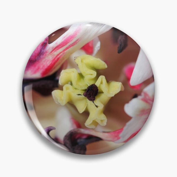 Item preview, Double Late Peony-Flowered Tulip named Horizon designed and sold by JMcCombie.