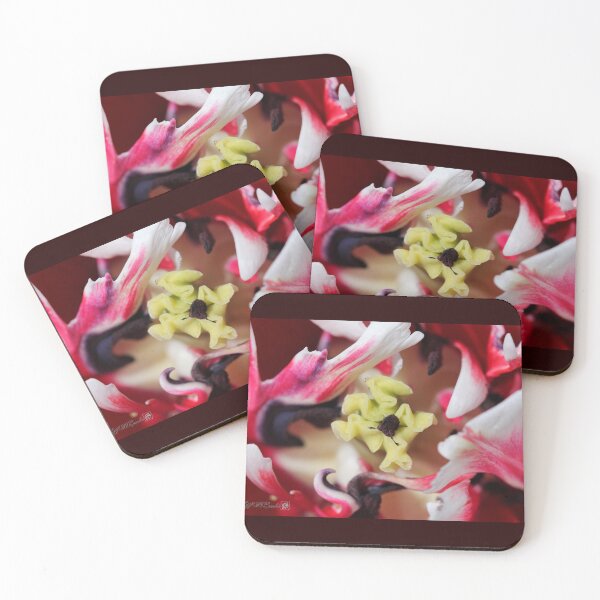 Item preview, Double Late Peony-Flowered Tulip named Horizon designed and sold by JMcCombie.