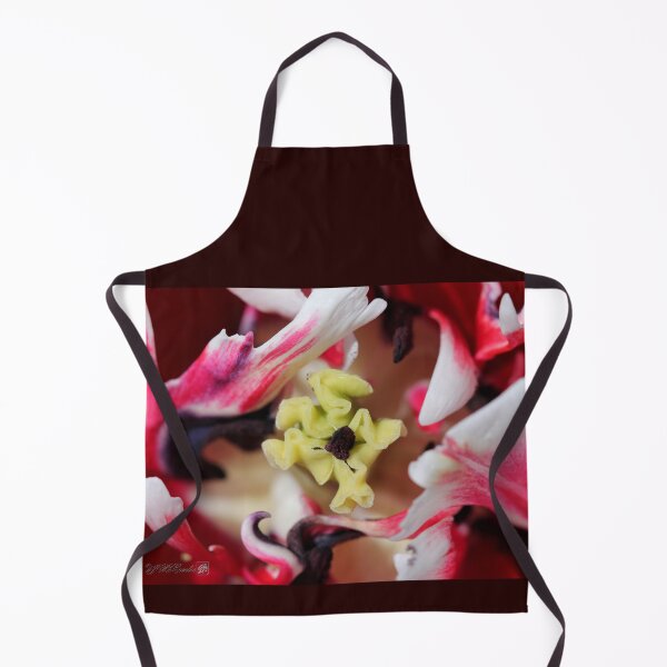 Item preview, Double Late Peony-Flowered Tulip named Horizon designed and sold by JMcCombie.