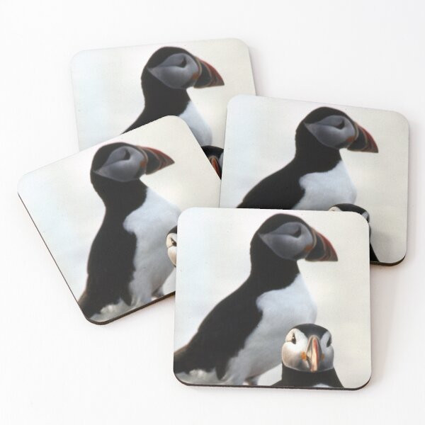 Item preview,  Extinct animal,Great Auk print,Great Auk,extinct, animal, animals, Great Auk wall art,Great Auk artwork, wild,Great Auk art designed and sold by eyesight4vision.