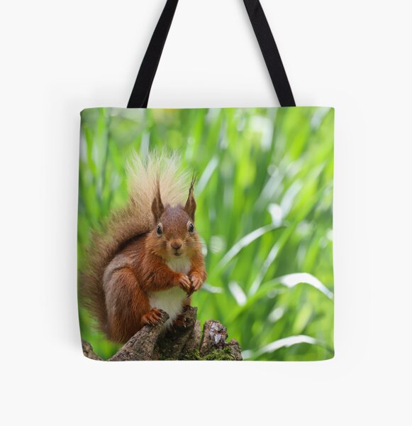 Item preview, Red Squirrel in the Spring designed and sold by Roz Goodman.