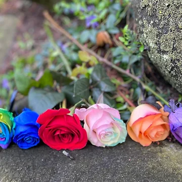 Artwork thumbnail, Unique Roses. by Rjsmommy23