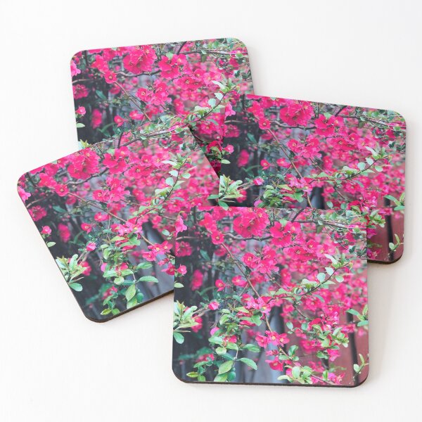 Item preview, Pink Flower Picture designed and sold by rossdave.