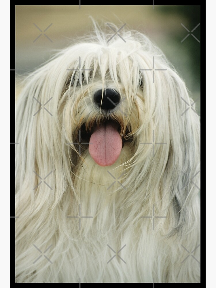 Xonanda Samiraning porno suratlari Yakut yalangoch porno