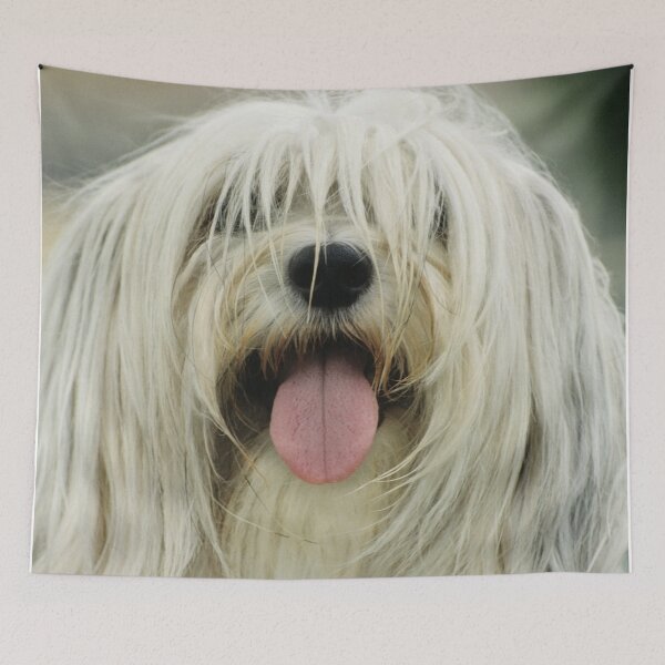 Item preview, Shaggy Dog  designed and sold by Bruiserstang.