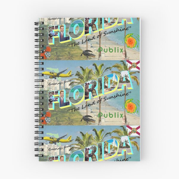 Item preview, Florida Meme Postcard designed and sold by furben7.