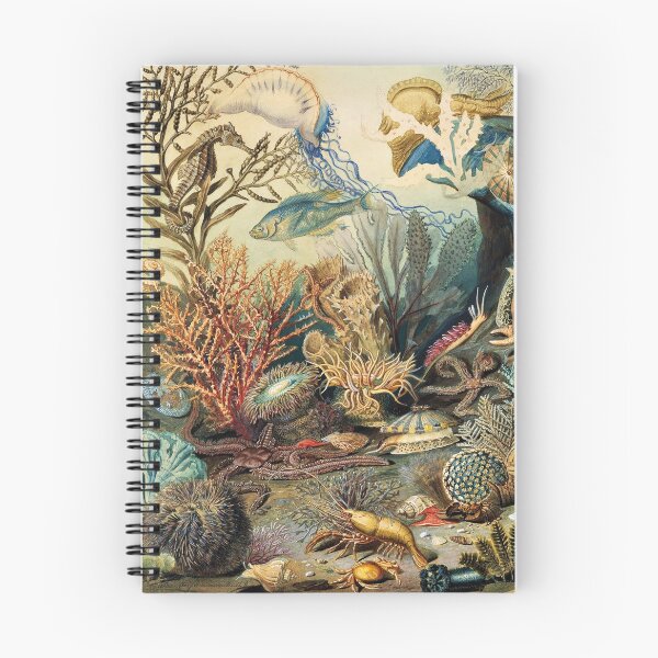 Item preview, Ocean Life, James M. Sommerville designed and sold by SEEMUELLER.