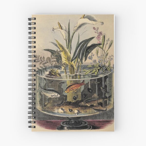 Item preview, Vintage planted aquarium designed and sold by NineVi.