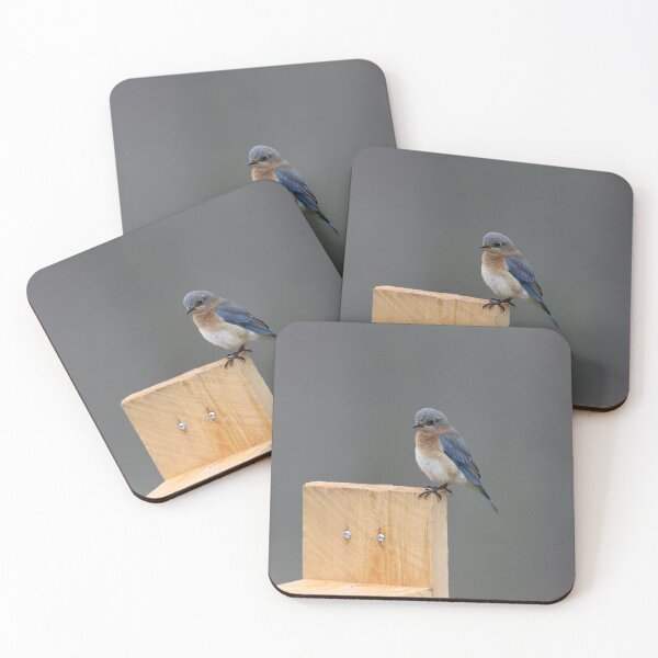 Item preview, Eastern Bluebird on a Corner designed and sold by LisaNaturePhoto.