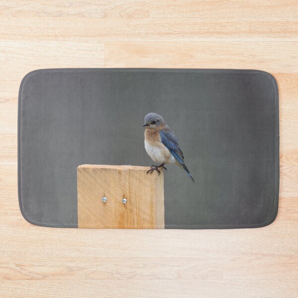 Item preview, Eastern Bluebird on a Corner designed and sold by LisaNaturePhoto.