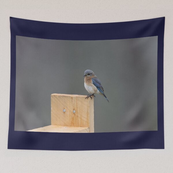 Item preview, Eastern Bluebird on a Corner designed and sold by LisaNaturePhoto.