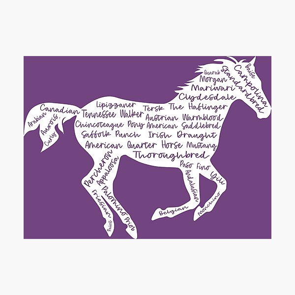 Aperçu de l'œuvre Silhouette de cheval en cours d'exécution avec des races de chevaux créée et vendue par TheMurphyGirl.