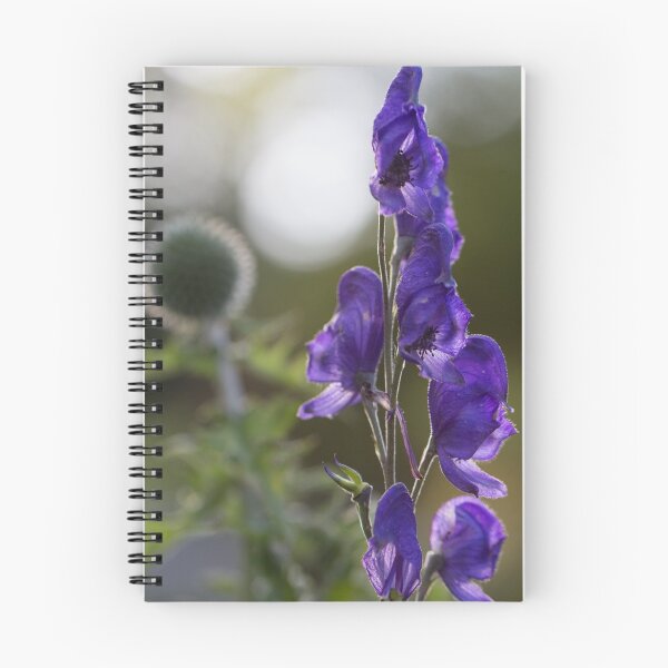 Item preview, Cottage garden designed and sold by CallyM.