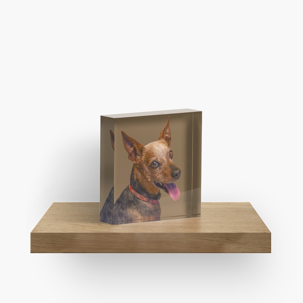 Item preview, Acrylic Block designed and sold by jwwalter.