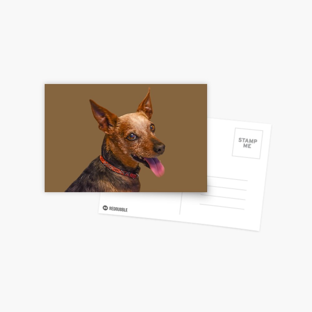 Item preview, Postcard designed and sold by jwwalter.