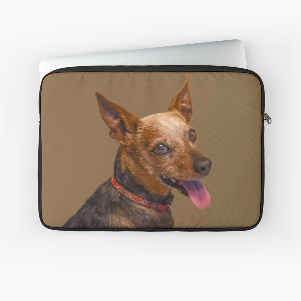 Item preview, Laptop Sleeve designed and sold by jwwalter.