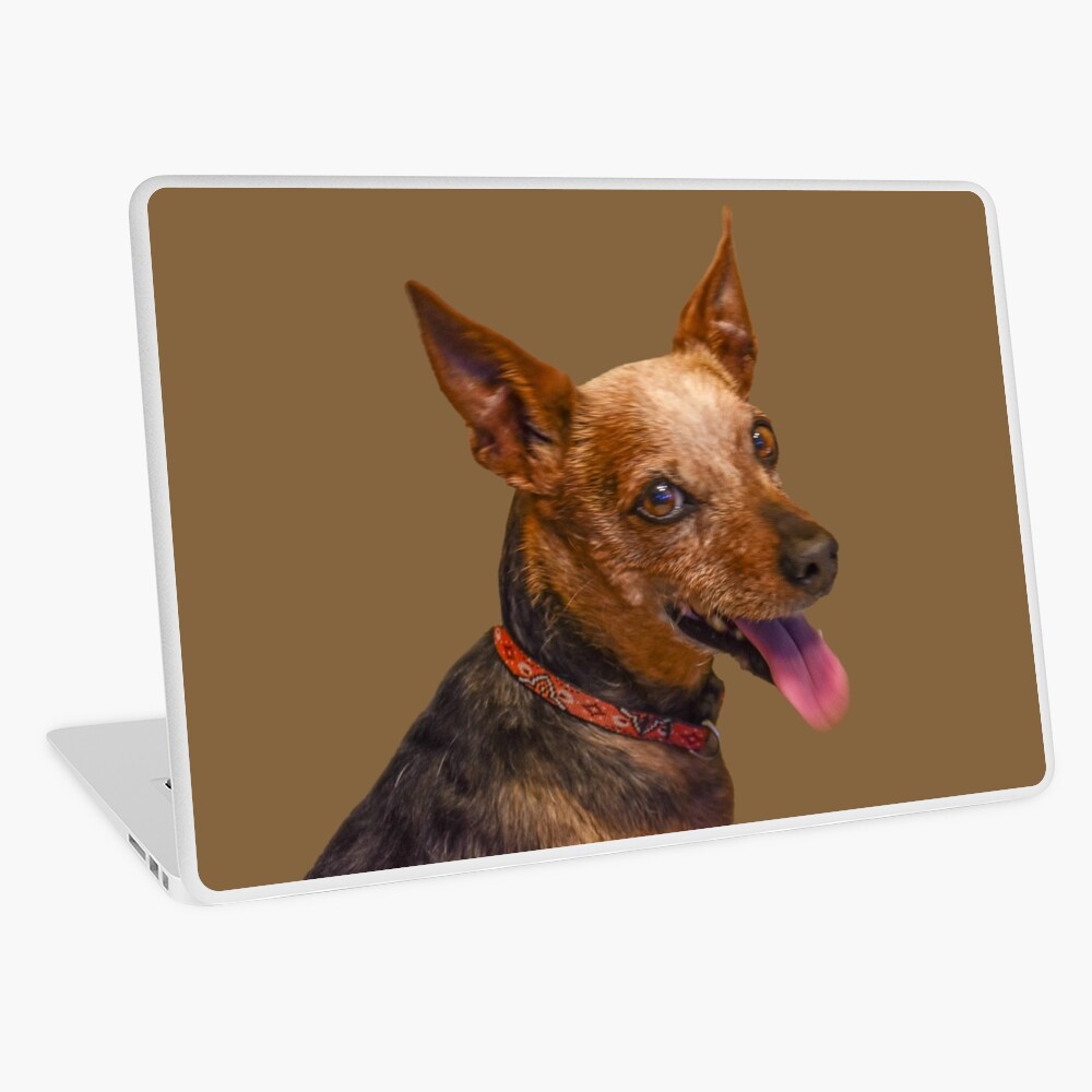 Item preview, Laptop Skin designed and sold by jwwalter.