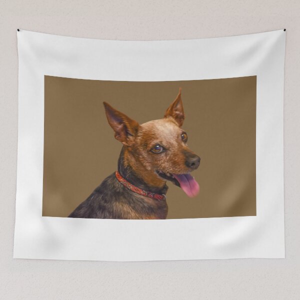 Item preview, Rudy designed and sold by Jerry Walter.