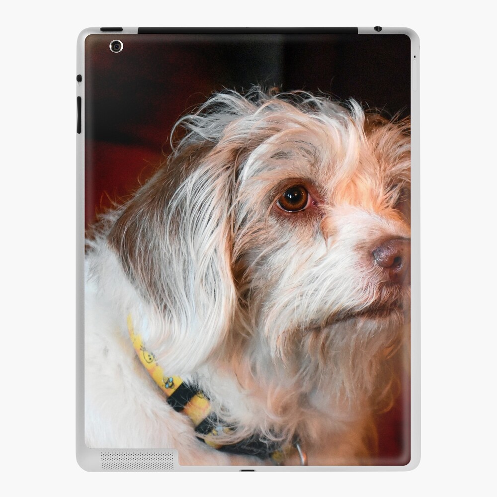 Item preview, iPad Skin designed and sold by jwwalter.