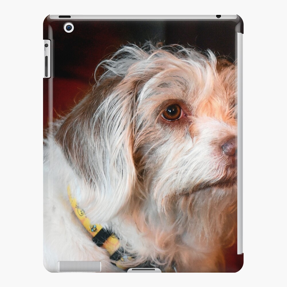 Item preview, iPad Snap Case designed and sold by jwwalter.