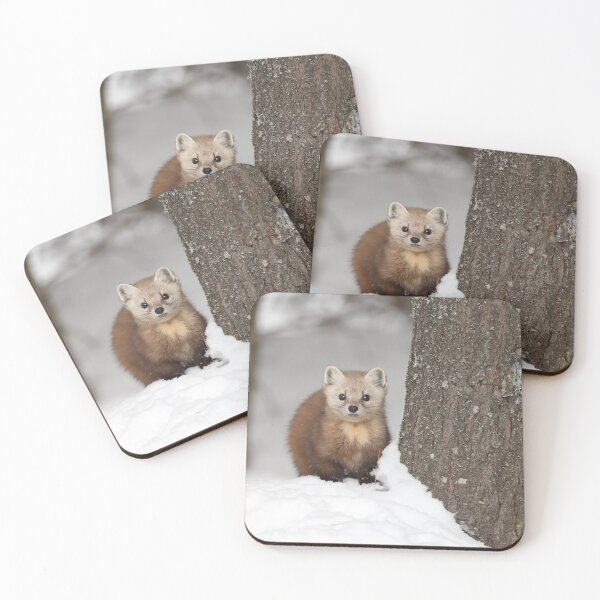 Item preview, American Marten designed and sold by mlorenz.